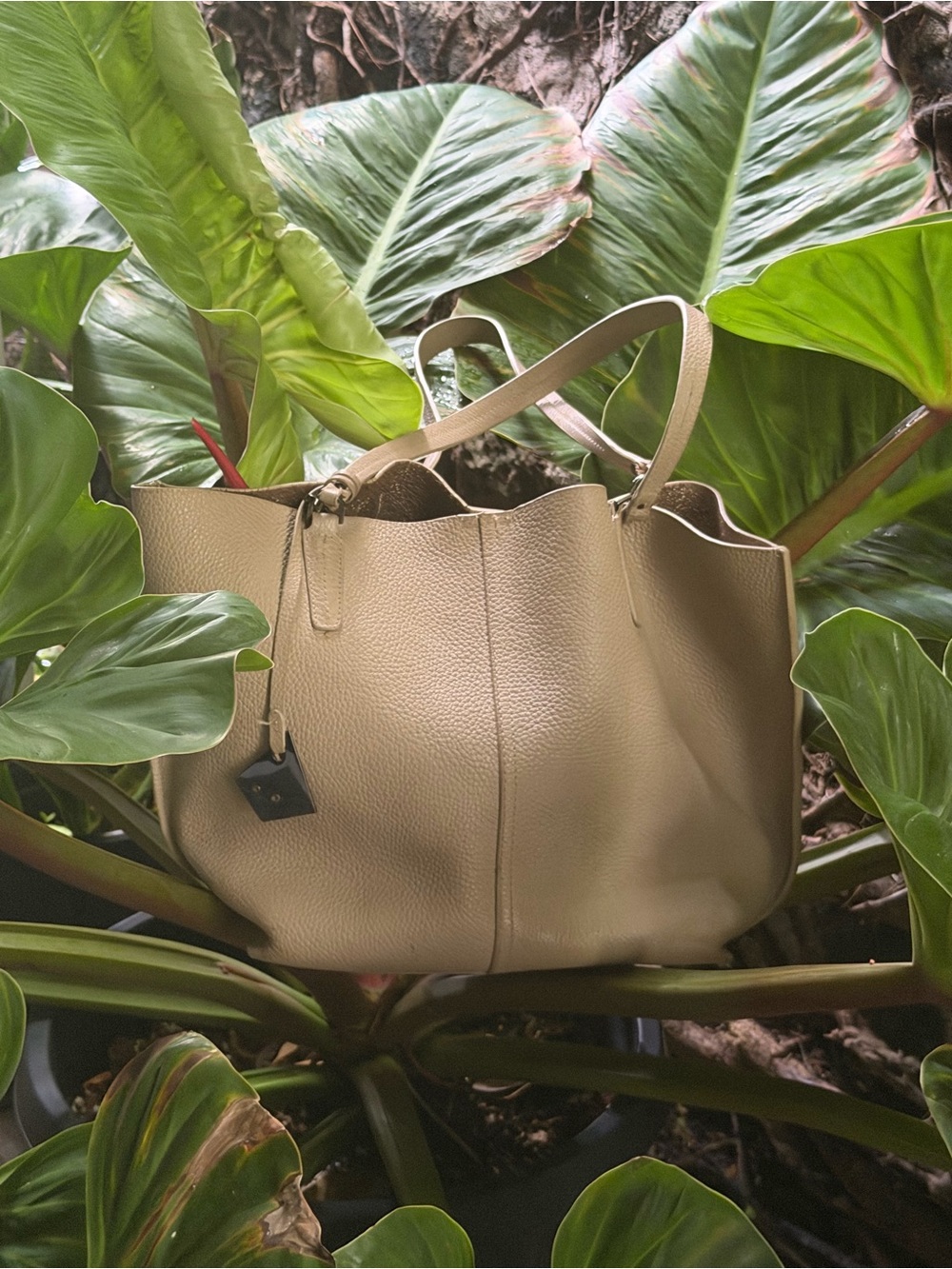 BOTKIER Hudson leather tote with detachable pouch in Latte. Metallic gold inside